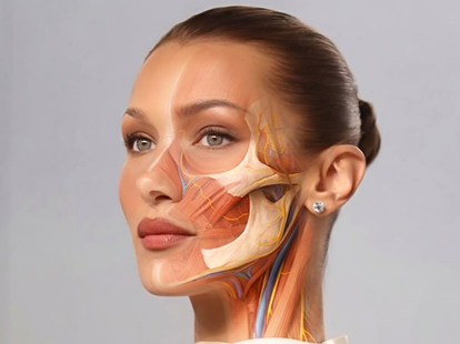 Anatomy & Physiology for Aesthetics